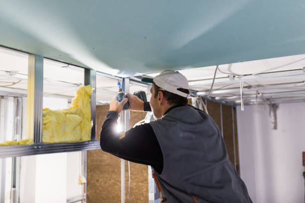 Best Energy Efficiency Insulation in Forest Ranch, CA