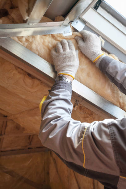 Best Eco-Friendly Insulation in Forest Ranch, CA